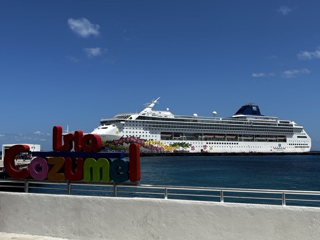 The Different Cruise lines